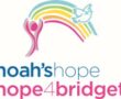 Noah's Hope Logo